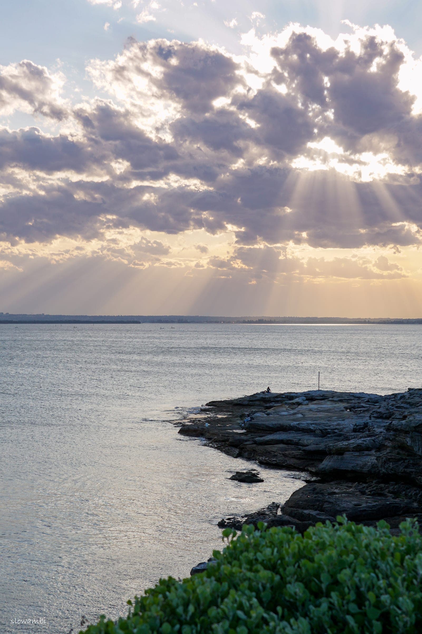 La Perouse Rays