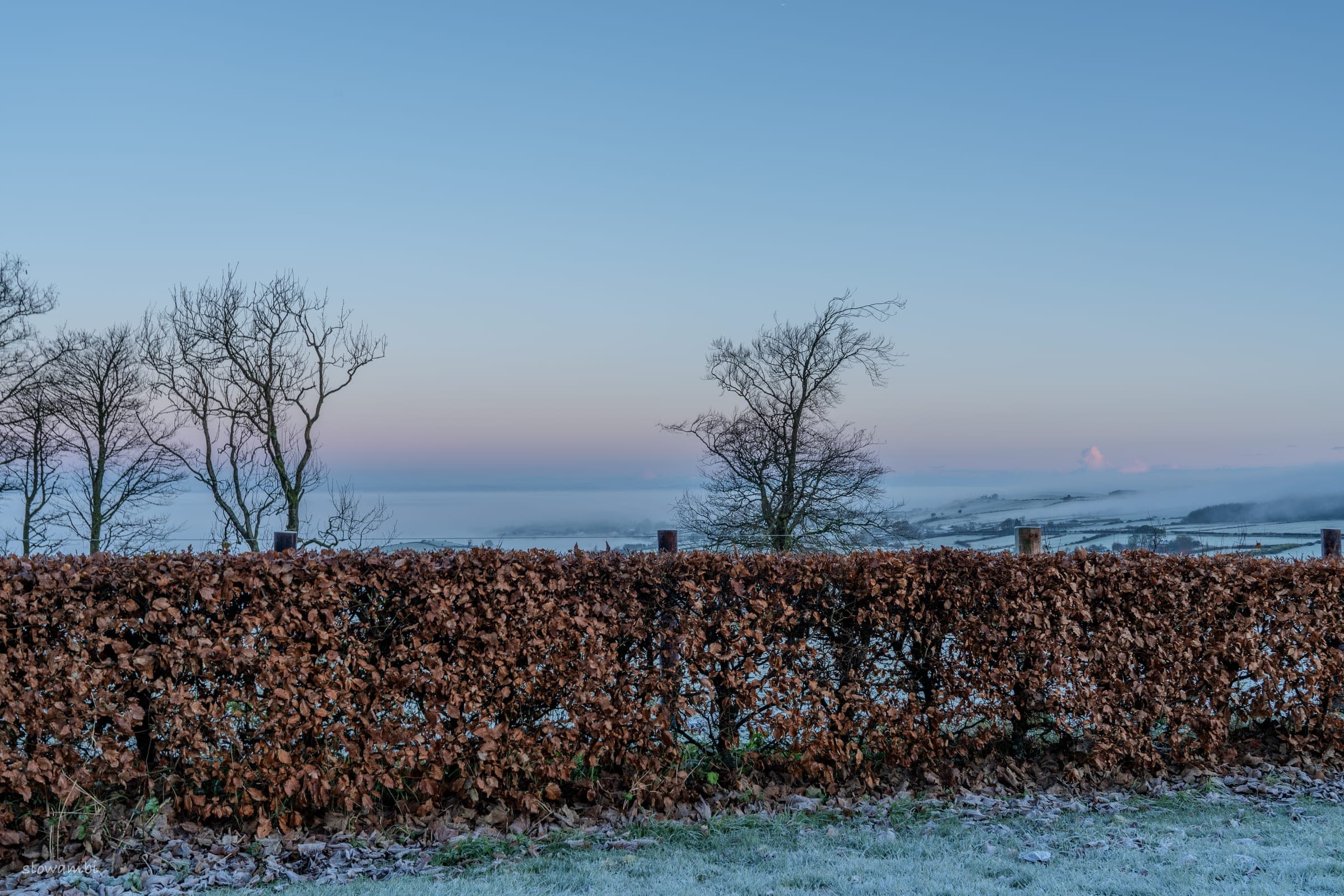 Ireland — quiet field