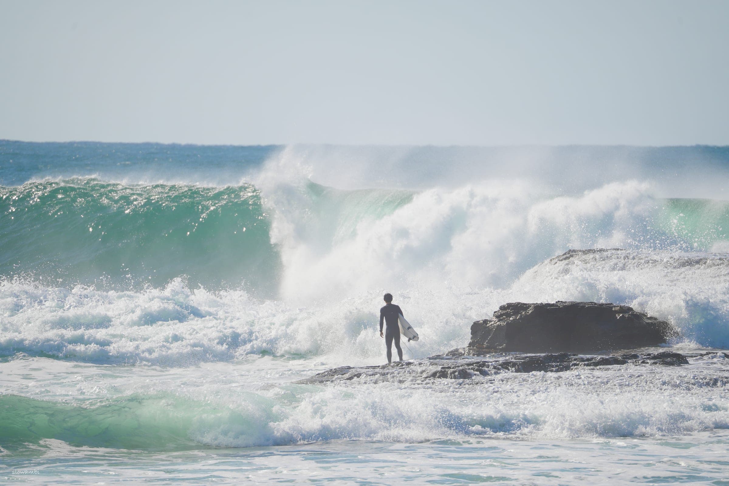 Surf, lately