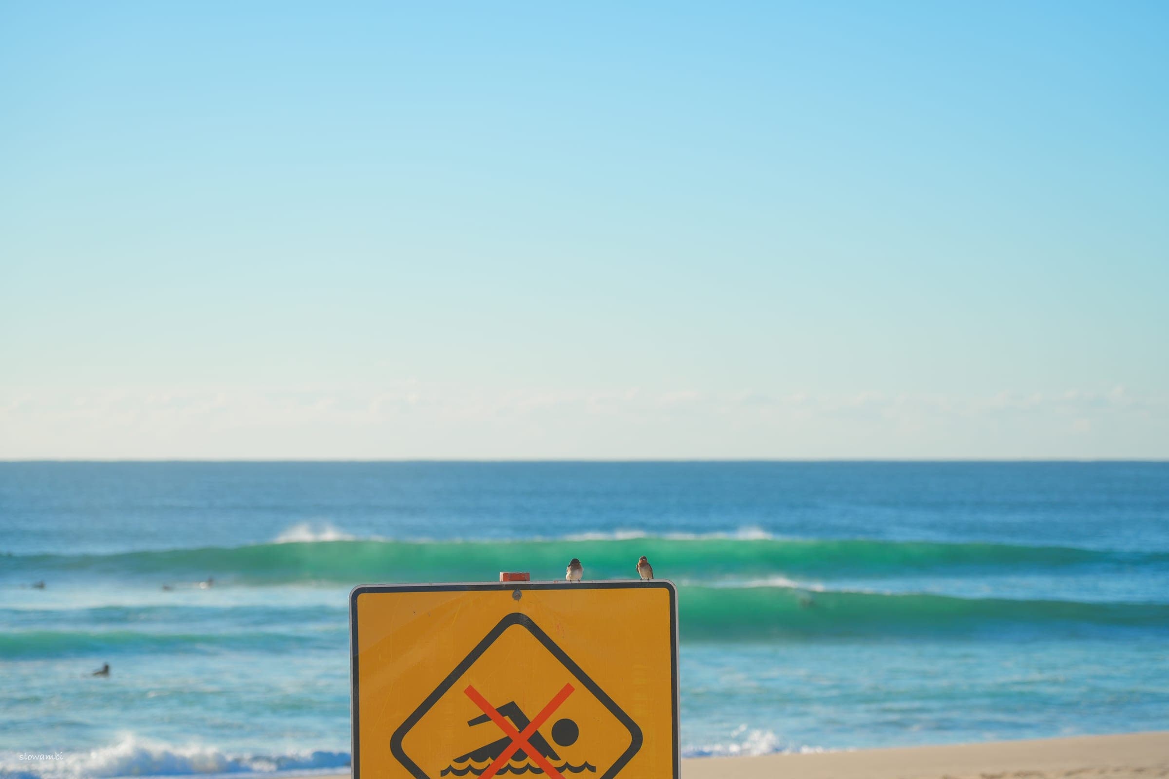 Surf, lately II