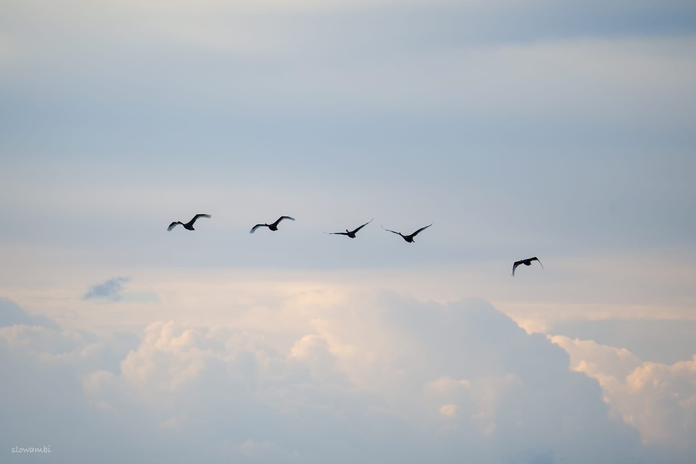 Walking in the Air